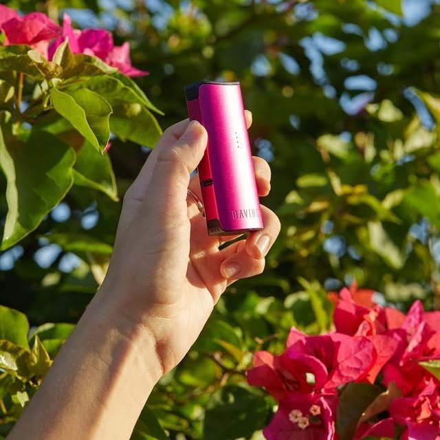 DaVinci MIQRO-C: günstiger tragbarer Cannabis-Vaporizer für Kräuter wird draußen in der Hand gehalten, vor pinken Blüten.