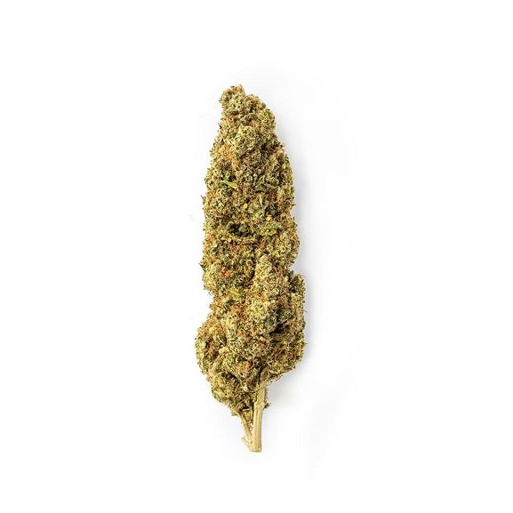 CBD-Blüten Lemon Passion – Premium-CBD-Blüten aus der Schweiz von Green Passion