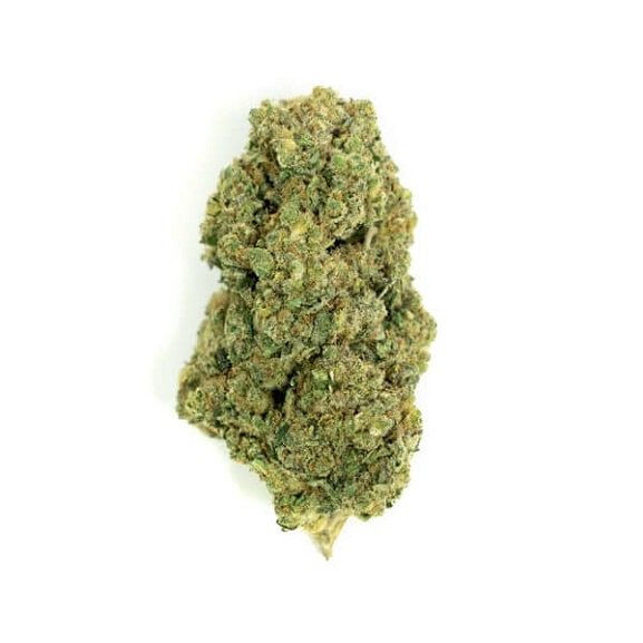 CBD-Blüten Maui Kush – Premium-CBD-Blüten aus der Schweiz von Green Passion