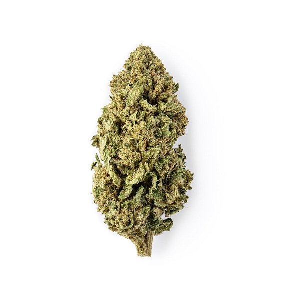 CBD-Blüten Maui Wowy – Premium-CBD-Blüten aus der Schweiz von Green Passion