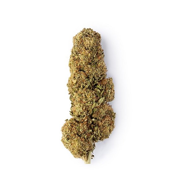 CBD-Blüten Scorpion Skunk – Premium-CBD-Blüten aus der Schweiz von Green Passion