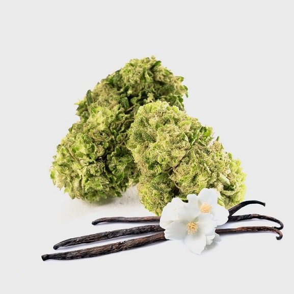 CBG-Blüten Vanilla Chill Zone – Premium-CBG-Blüten aus Deutschland von Happy420