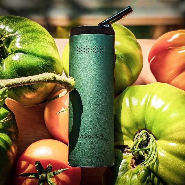 XMAX Starry 4: günstiger tragbarer Cannabis-Vaporizer für Kräuter zwischen Tomaten.